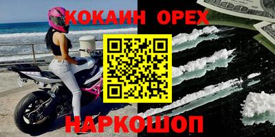 молекула духа Кингисепп
