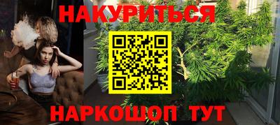 шишки Кинель