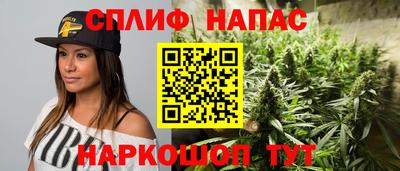 молекула духа Кингисепп