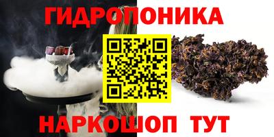 шишки Кинель