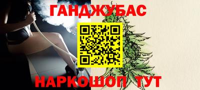 молекула духа Кингисепп