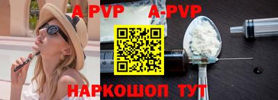 молекула духа Кингисепп