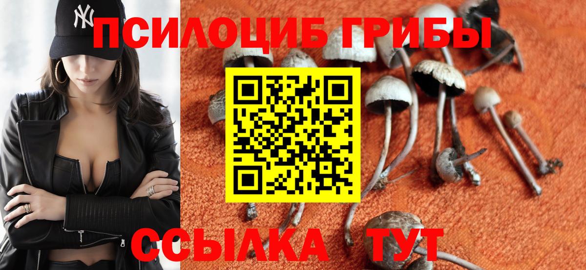 Галлюциногенные грибы Psilocybine cubensis Урай